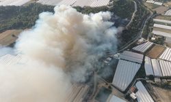 Antalya'da çıkan 2 ayrı orman yangınına müdahale ediliyor