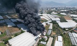 Antalya'da fide üretim tesisinde yangın çıktı