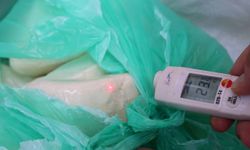 Antalya'da sağlıksız koşullarda taşınan 700 kilogram peynir ele geçirildi