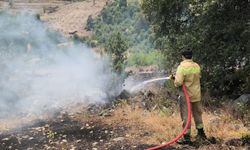 Antalya'da makilik alanda çıkan yangın kontrol altına alındı
