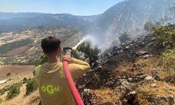 GÜNCELLEME - Kahramanmaraş'ın Türkoğlu ilçesindeki orman yangını kontrol altına alındı