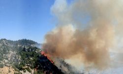 GÜNCELLEME - Mersin'de çıkan orman yangını kontrol altına alındı