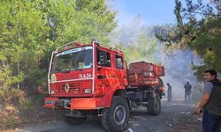 Hatay'da çıkan orman yangını kontrol altına alındı