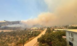 Hatay'da ormanlık alanda yangın çıktı