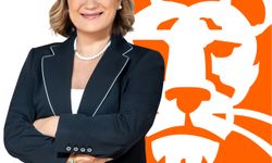 ING Türkiye'de üst düzey atama