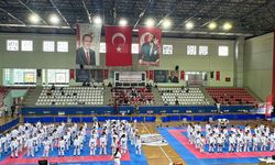 İskenderun'da karate turnuvası düzenlendi