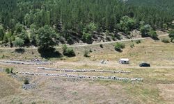 Isparta'daki yaylalarda konargöçer arıcılar bal hasadına hazırlanıyor