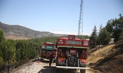 Kahramanmaraş'ta çıkan orman yangını söndürüldü