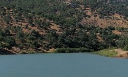 Kahramanmaraş'ta çıkan orman yangınına müdahale ediliyor