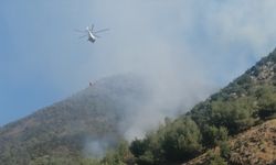 Kahramanmaraş'ta çıkan orman yangınını söndürme çalışmaları sürüyor