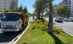 Kahramanmaraş'ta fırtına hayatı olumsuz etkiledi