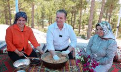 Mersin'de "1. Gülnar Batırık Festivali" düzenlenecek