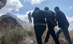 Mersin'de 17 yıl 3 ay kesinleşmiş hapis cezasıyla aranan hükümlü mağarada yakalandı
