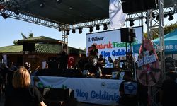 Mersin'de "Gülnar Batırık Festivali" düzenlendi