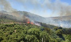 Osmaniye Düziçi'nde çıkan orman yangını kontrol altına alındı