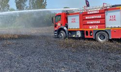 Osmaniye'de çıkan yangında 20 dönümlük buğday tarlası zarar gördü