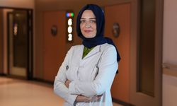 Yaz aylarında vücut ısısındaki ani yükseliş ölümcül olabilir