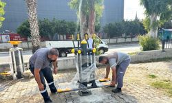 Akdeniz Belediyesi park ve yeşil alanlarda çalışmalarını hızlandırdı