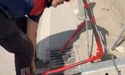 Alt geçitteki refüj demirinin içinde sıkışan yavru kedi kurtarıldı