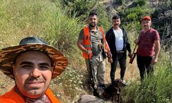 Gündoğmuş’ta domuz sürek avı düzenlendi