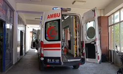 Kahramanmaraş’ta 323 acemi kasap kendini yaraladı