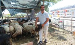 Kemer Belediyesi’nde kurban satış alanlarında denetim