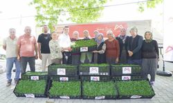 Mersin’de tarım destekleri üreticiyi sevindiriyor