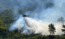 Antalya'da iki bölgede çıkan orman yangını kontrol altına alındı
