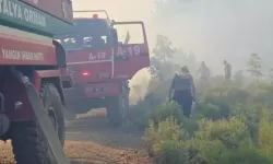 Antalya'da iki bölgede çıkan orman yangınlarından biri kontrol altına alındı
