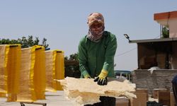 Cips Olarak Avrupa Sofralarına Giren Tarhana, Yılda 25 Bin Ton Üretiliyor