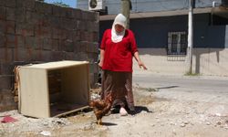 Çocuk gibi ağlayan tavuğunu kesmeye kıyamadı, iyileşmesi için veteriner aramaya başladı