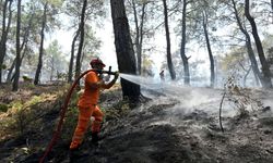 Hasat Mevsiminde Orman Yangını Alarmı