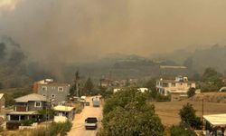 Hatay'da ormanlık alanda yangın çıktı