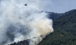 Hatay'da ormanlık alanda yangın çıktı