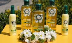 Herbal Essences Papatya Serisi ile Yaz Boyunca Parlak ve Pürüzsüz Saçlar!