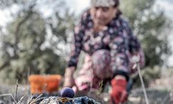 Kuraklığa ve Açlığa Büyük Adım Yasası Genel Kurul’da