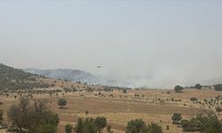 Mardin'de Ormanlık Alanda Çıkan Yangına Müdahale Ediliyor