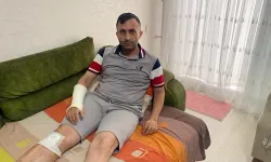 Mersin'de sahipsiz köpeklerin saldırdığı kişi yaralandı