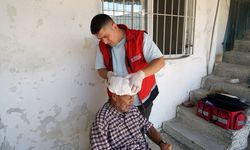 Şehrin Ulu Çınarları Büyükşehir’le Bayrama Hazırlanıyor