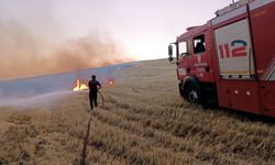 “Toprak Geleceğimiz, Korumak Ortak Sorumluluğumuz”