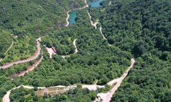Türkiye'nin Orman Varlığı 23,4 Milyon Hektara Ulaştı