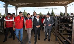 Vali Ünlüer, Kurban Bayramı Öncesi Canlı Hayvan Borsasını Ziyaret Etti
