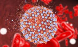 Hepatite Kalkan: Aşı, Temizlik, Doğru Bilgi