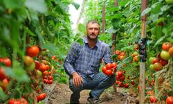 Adının Hakkını Veren Mahalle: Her Mevsim Domates Üretimi Bölgeye Katkı Sağlıyor