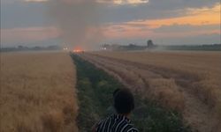Afşin’de Çiftçinin Bir Yıllık Emeği Kül Oldu