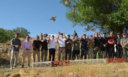 Afşin’de Doğaya 200 Keklik Salındı