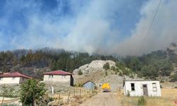 Alanya'da ormanlık alanda yangın çıktı