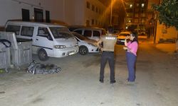 Antalya'da çöp konteynerinde yanmış köpek ölüsü bulundu
