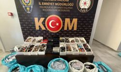 Antalya'da kaçakçılık operasyonları düzenlendi
