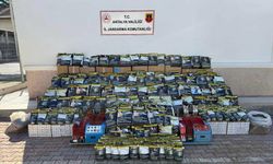 Antalya'da kaçakçılık operasyonu düzenlendi